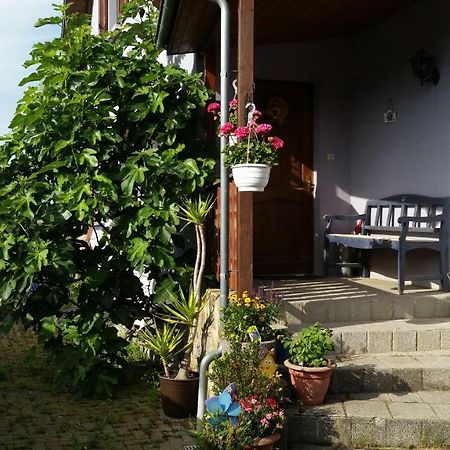 Urlaub Im Elsass Apartment Artolsheim Exterior photo